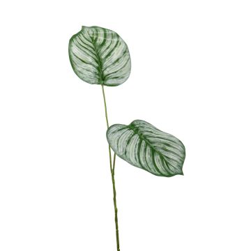 Ramo artificiale di calathea orbifolia TAMARIU, verde-bianco, 50cm
