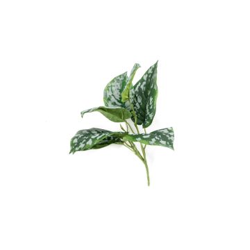 Epipremnum finto OBASI su stelo, verde-bianco, 25cm