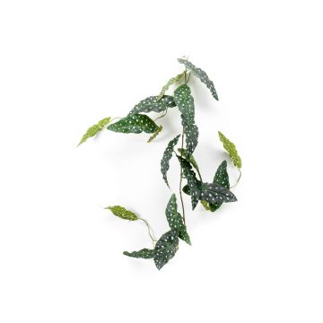 Ghirlanda di begonia maculata finta JOELLE, verde-bianco, 120cm
