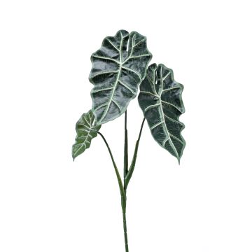 Alocasia Sanderiana decorativa MATHEA, stelo, verde-bianco, 70cm