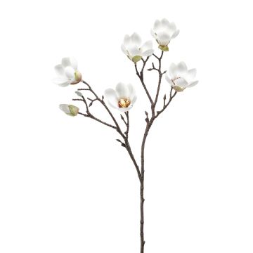 Magnolia finta ANEU, crema, 65cm