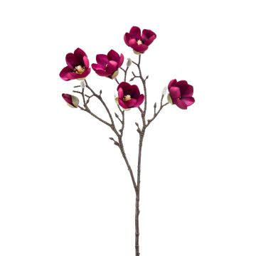 Magnolia finta ANEU, viola, 65cm