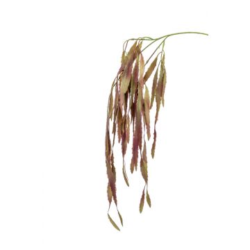 Ramo artificiale di rhipsalis EHUD, marrone-lilla, 80cm