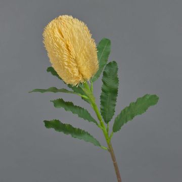 Banksia finta YUSTE, crema-arancione, 65cm