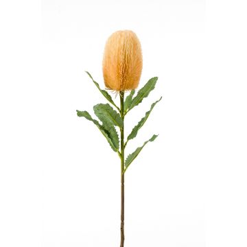 Banksia finta YUSTE, crema-arancione, 65cm