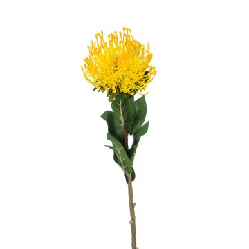 Protea finta HERVAS, giallo, 70cm
