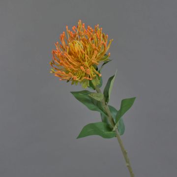 Protea finta HERVAS, arancione, 70cm