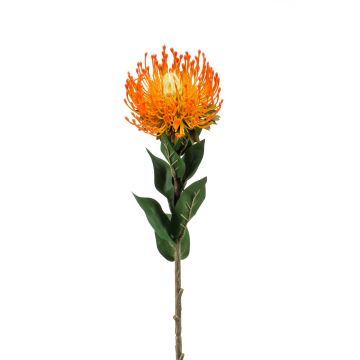 Protea finta HERVAS, arancione, 70cm