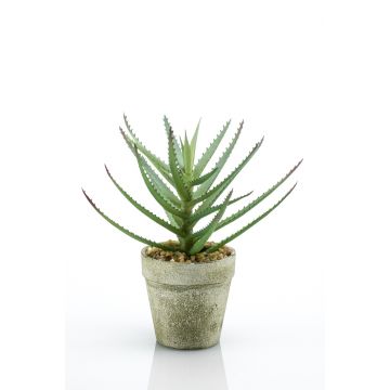 Aloe Vera finto GALISTEO in vaso decorativo, verde, 18cm