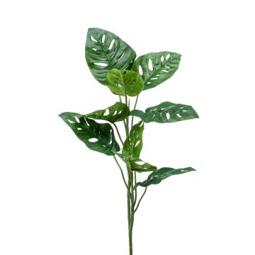 Filodendro Monstera Deliciosa artificiale BERLANGA, stelo, 75cm