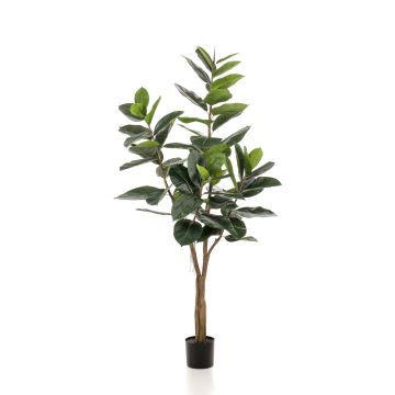 Ficus Elastica finto FERIA, tronco finto, verde, 180cm