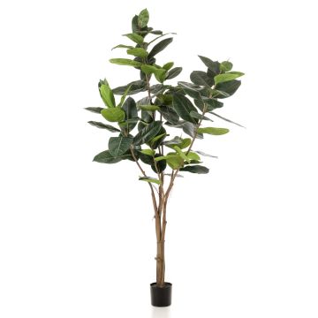 Ficus Elastica finto FERIA, tronco finto, verde, 210cm