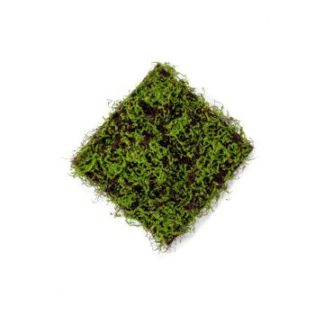 Tappeto di muschio artificiale MIRANDILA, verde, 50x50cm