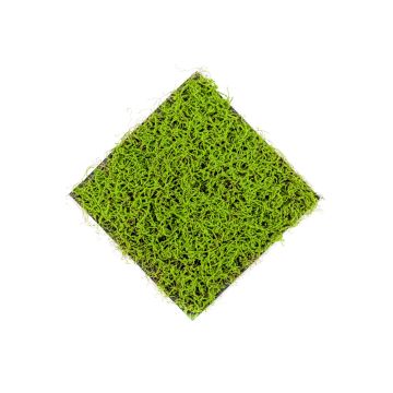 Tappeto artificiale di erba juncus effusus NOGALES, verde, 50x50cm
