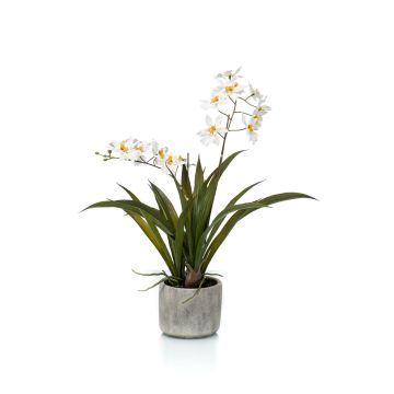 Orchidea oncidium artificiale COLUNGA in vaso di ceramica, bianco, 45cm