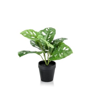 Filodendro Monstera Deliciosa artificiale PUYA, 30cm