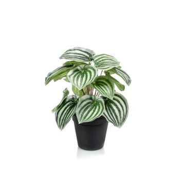 Peperomie artificiale KEPANO, verde-bianco, 25cm