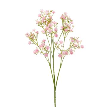 Gypsophila finta LITAGO, rosa, 70cm