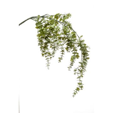 Ramo finto di eucalipto PINORO, verde, 120cm