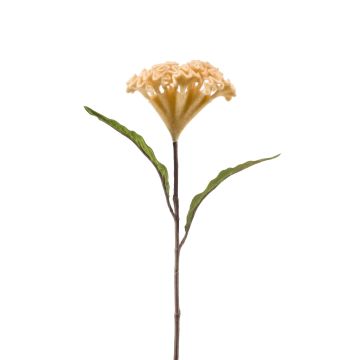Celosia finta BONARES, beige, 60cm
