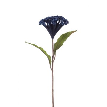 Celosia finta BONARES, blu scuro, 60cm