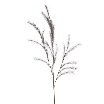 Ramo artificiale di erba stipa con pannocchie YECORA, grigio, 130cm