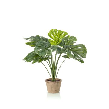 Filodendro artificiale Monstera Deliciosa BRITI, vaso in terracotta, 60cm