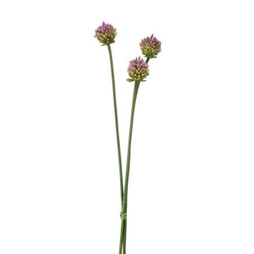 Mazzo di fiori artificiali di allium LAMDA, viola-verde, 65cm