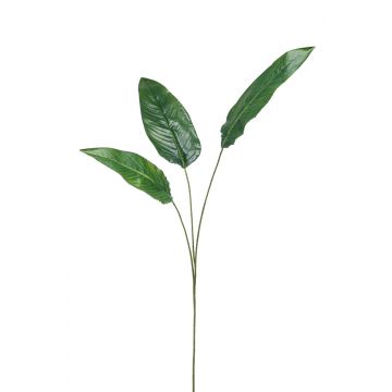 Ramo artificiale di strelitzia ALPHARD, verde, 135cm