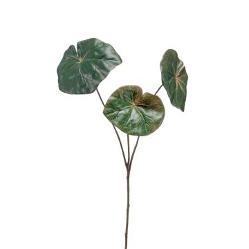 Ramo artificiale di begonia rex ANTALINA, verde, 65cm