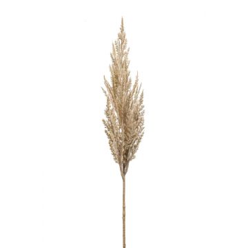 Ramo finto di erba della pampa ASARIO, crema, 80cm