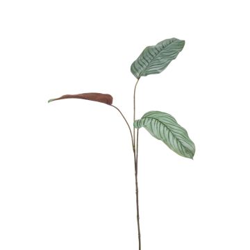 Ramo artificiale di Calathea Orbifolia SEGINUS, verde-bianco, 110cm