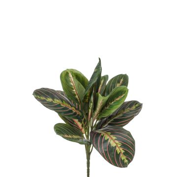 Maranta artificiale SITULA su stelo, verde-rosso, 30cm