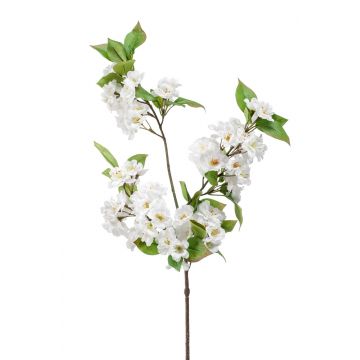 Ramo decorativo di fiori di melo KULLAT con fiori, bianco, 80cm