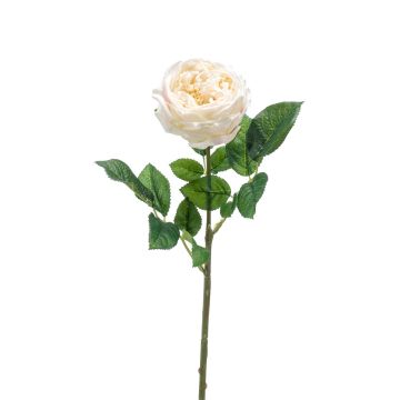 Rosa centifolia artificiale CATINCA, crema, 60cm