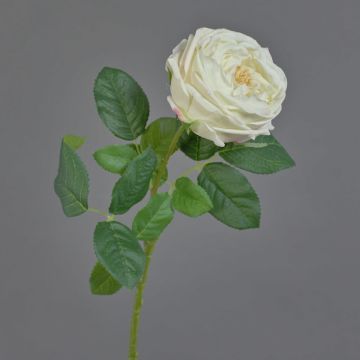 Rosa centifolia artificiale CATINCA, crema, 60cm