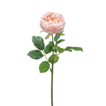 Rosa centifolia artificiale CATINCA, rosa chiaro, 60cm