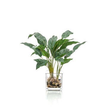 Aglaonema artificiale ADRIK in vaso di vetro, verde, 45cm