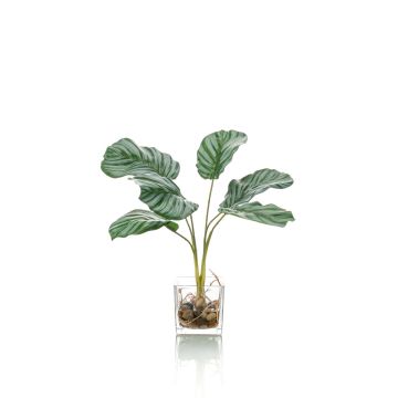 Calathea Orbifolia artificiale AGINA in vaso di vetro, verde-bianco, 35cm