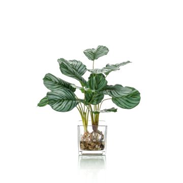 Calathea Orbifolia artificiale AGINA in vaso di vetro, verde-bianco, 45cm