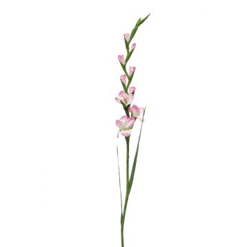 Gladiolo artificiale AJNUR, rosa-bianco, 125cm