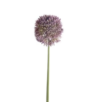 Allium artificiale NATASHA, viola, 65cm, Ø10cm