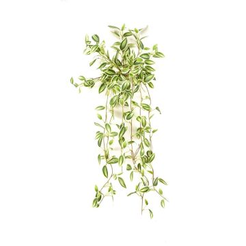 Pianta artificiale Tradescantia zebrina DIHALLO su bastone, pendente, verde-bianco, 70 cm