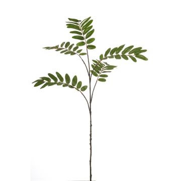 Ramo decorativo Mahonia MANIESA, verde, 105 cm