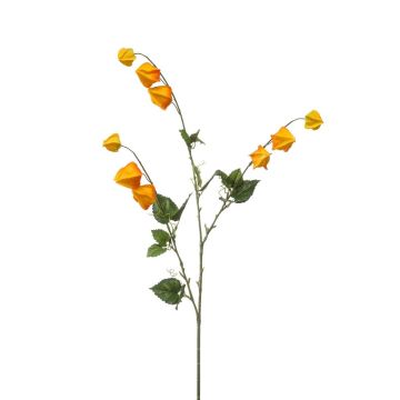 Ramo decorativo Physalis TIRFEL con frutti, giallo-arancione, 95 cm