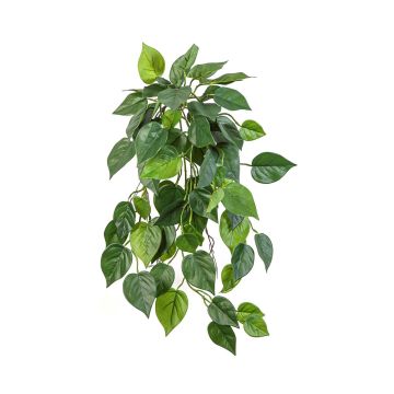 Pianta artificiale Philodendron Scandens KADRINA, bastoncino, difficilmente infiammabile, 70 cm