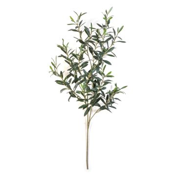 Ramo di olivo artificiale LORRIS, verde, 110 cm