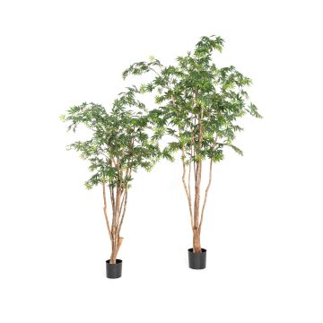 Pianta artificiale acero giapponese ILIANU, tronchi reali, verde, 180 cm