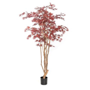 Pianta artificiale acero giapponese ILIANU, tronchi reali, rosso, 180 cm