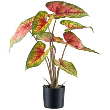 Pianta artificiale Caladium STAHER, radici, rosso-verde, 55 cm